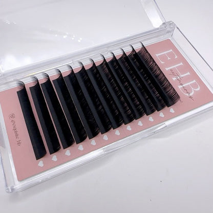 Cashmere Lash Tray Extensions